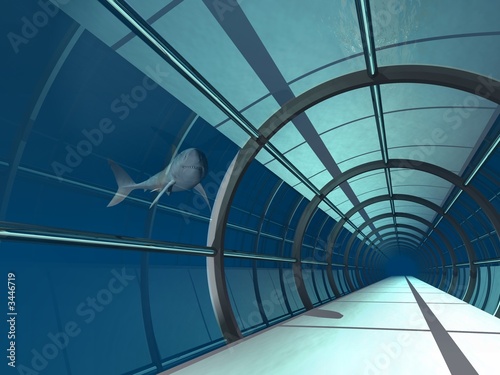 underwater corridor