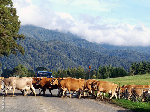 country traffic jam 2