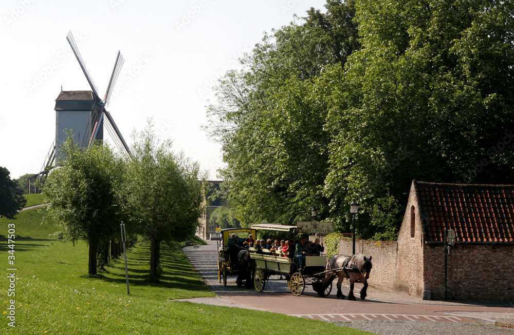 Fototapeta premium windmill of bruges