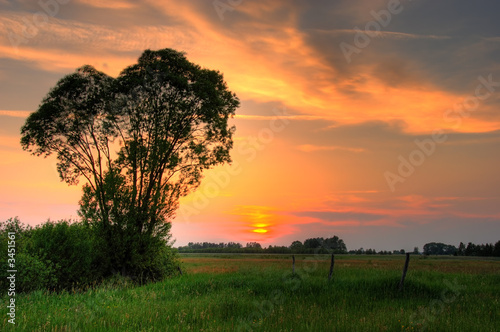 summer sunset