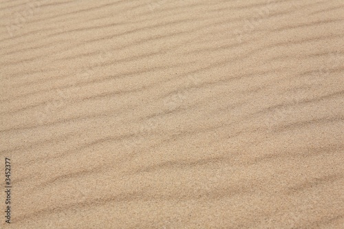 sable