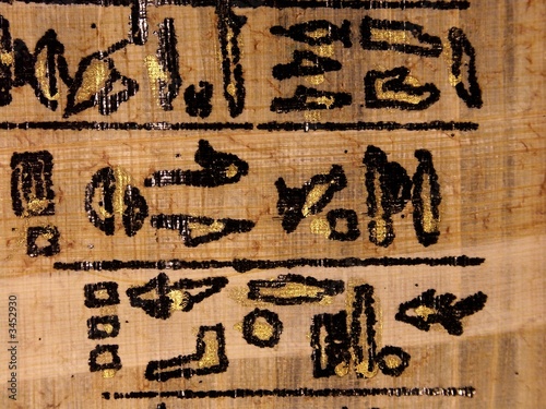  papyrusgras mit hieroglyphen