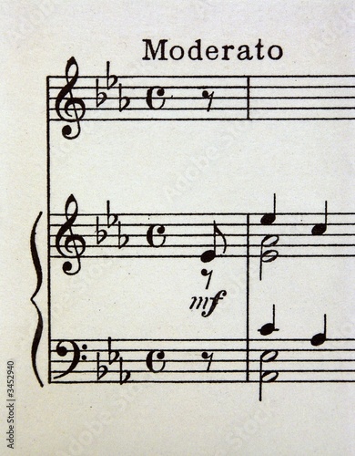 Wall Mural music as symbols