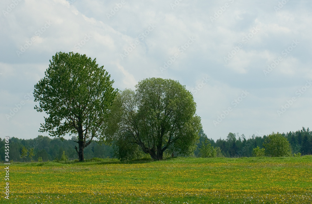 rural landscape rural landscape