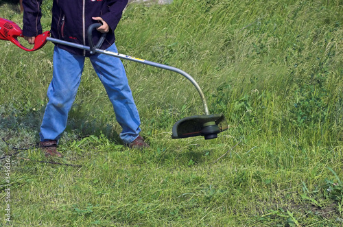 mowed grass