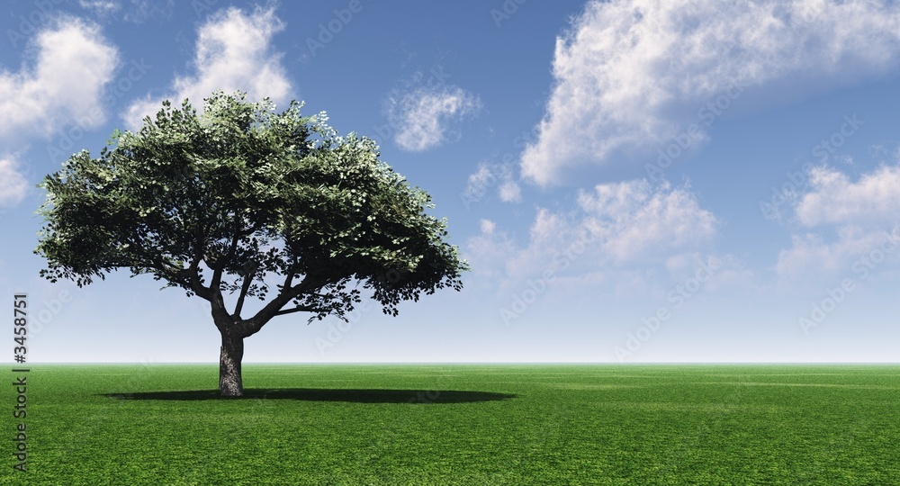 Obraz premium green tree