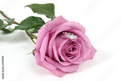 ring in rose