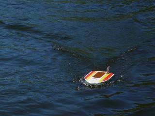 Acrylglasbilder Wasser Motorsport Gestreiftes Motorboot in voller Fahrt  © Galaiko Sergey