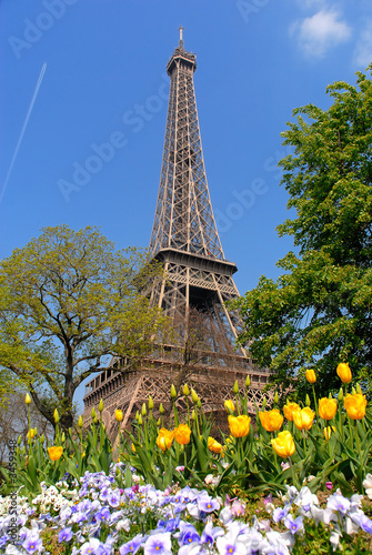 Slika na platnu spring in paris, eiffel tower
