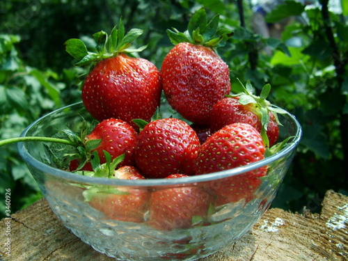 strawberriy dessert