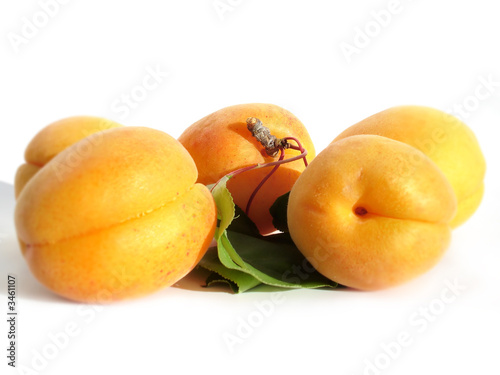 apricot composition