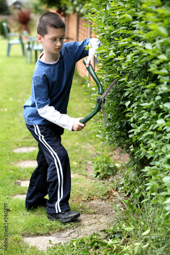 cutting the hedge