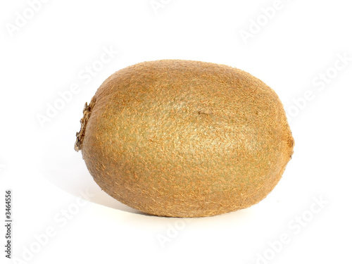 kiwi 02