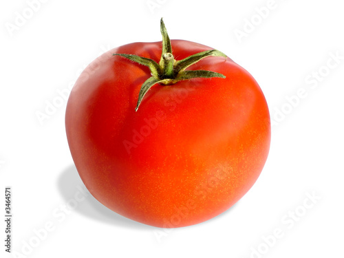 fresh tomato