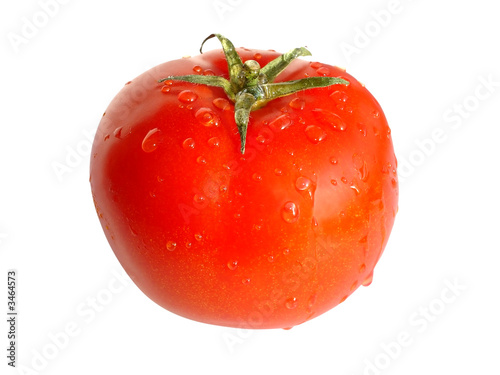 tomato 03