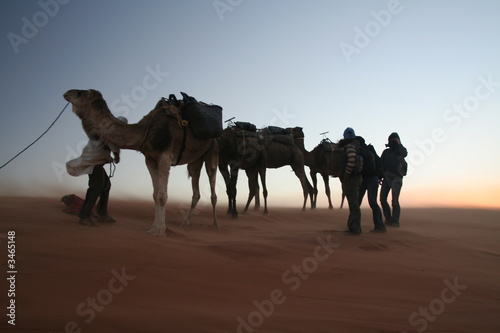 travellers on sand storm