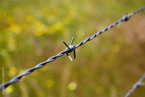 barbed_wire_01