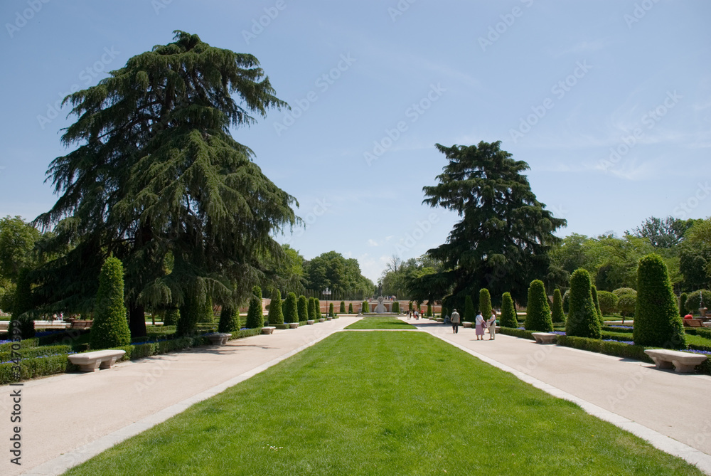 Fototapeta premium path