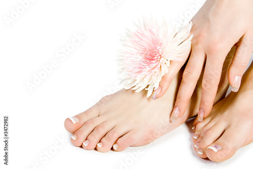 woman's foot and hand with flowers on white photo