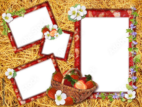 strawberry frame