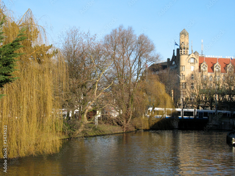 Obraz premium willow tree by canal amsterdam