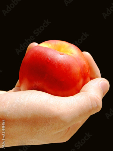 hand and peach