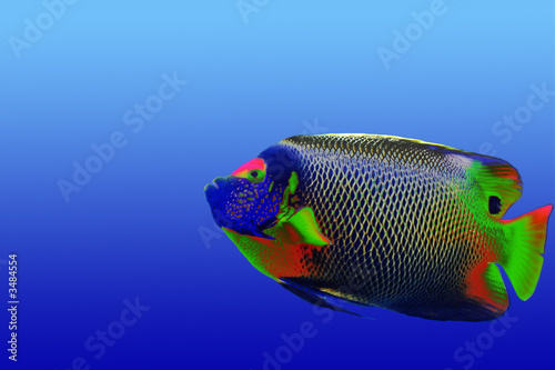 psycoemperorfish photo