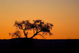 paysage de  namibie