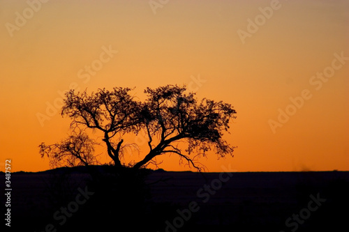 paysage de namibie