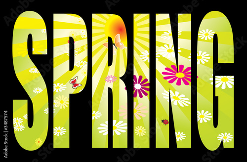 spring text