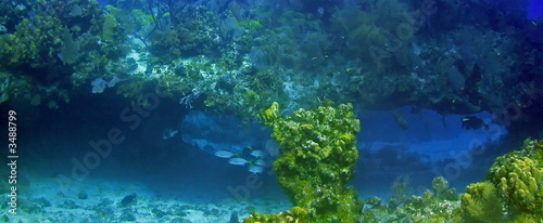 underwater panoramic