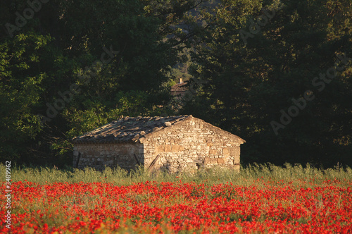 paysage de provence