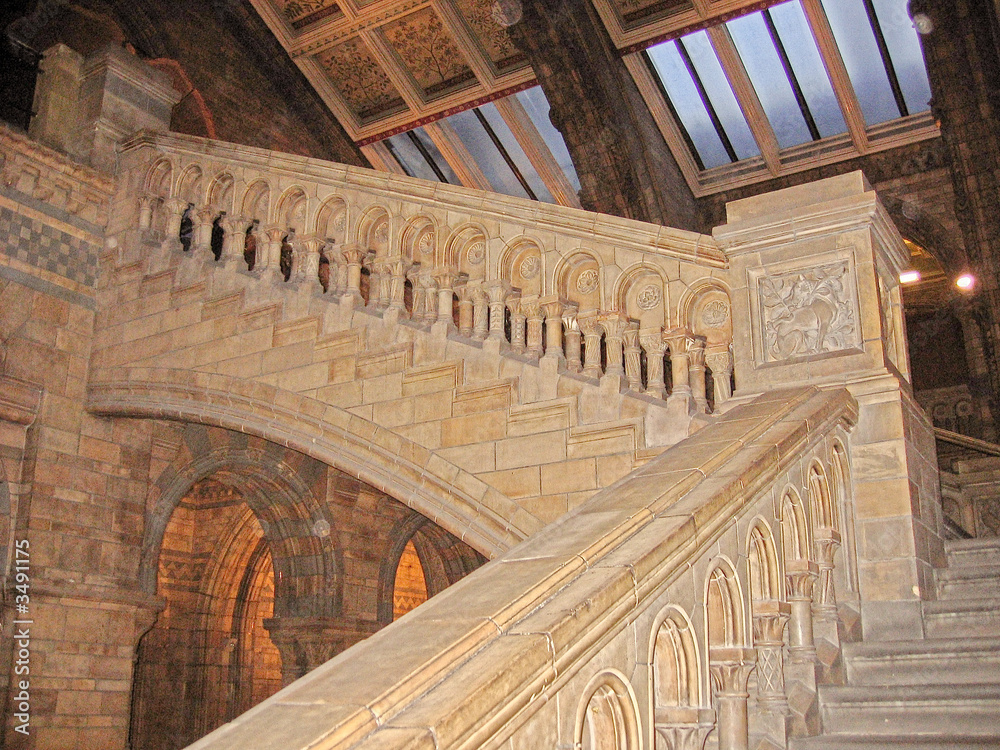 staircase in the natural history museum