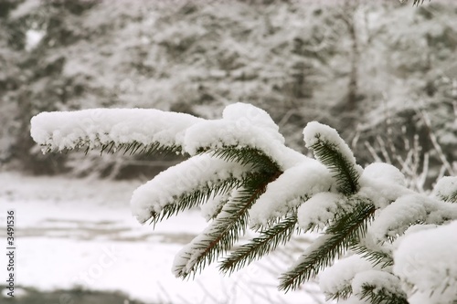 Snow brench