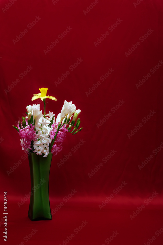 Fototapeta premium Isolated flowers