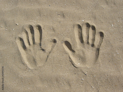 main photo
