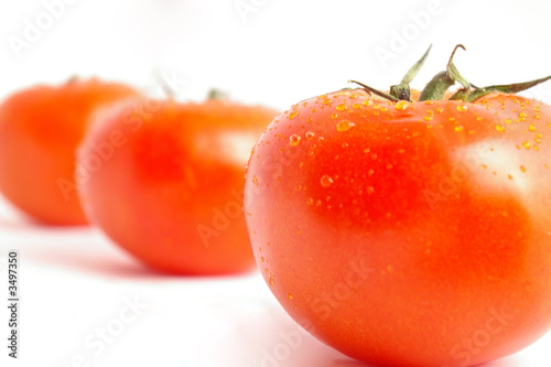 tomates alignées
