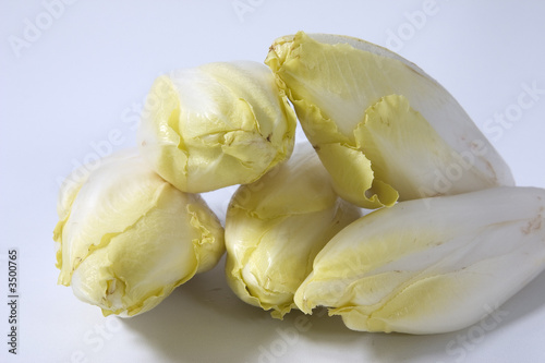 group of chicory