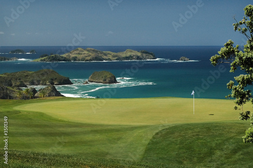 Bild auf Leinwand scenic golf green
