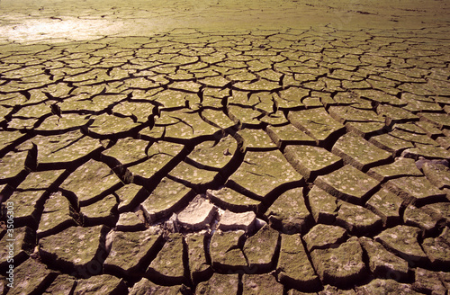 drought-4
