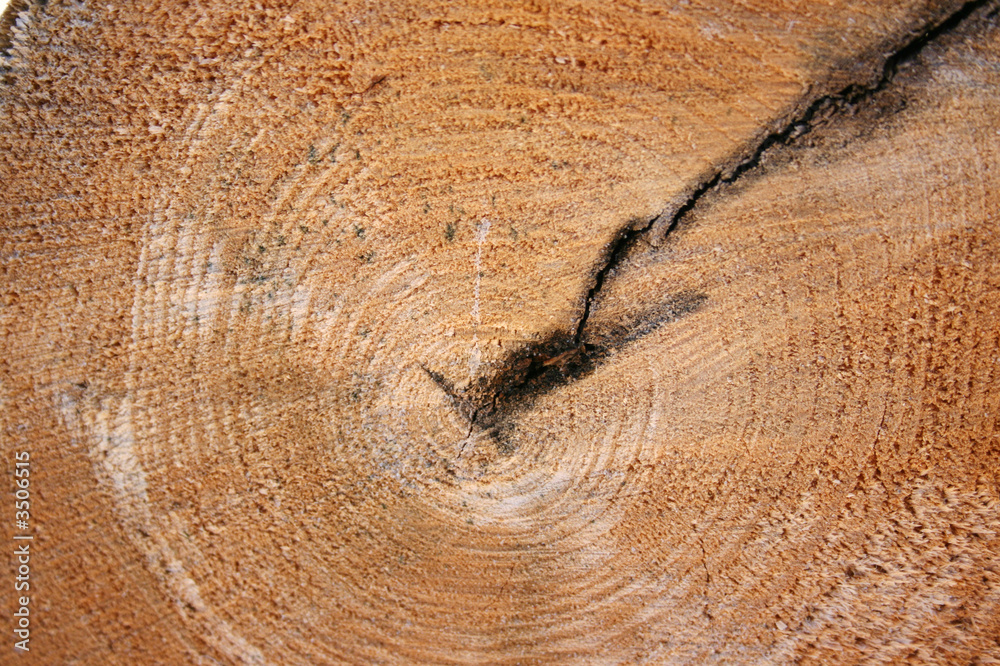 Naklejka premium wooden