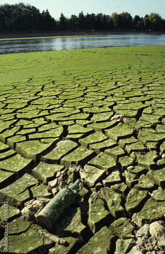 drought-7