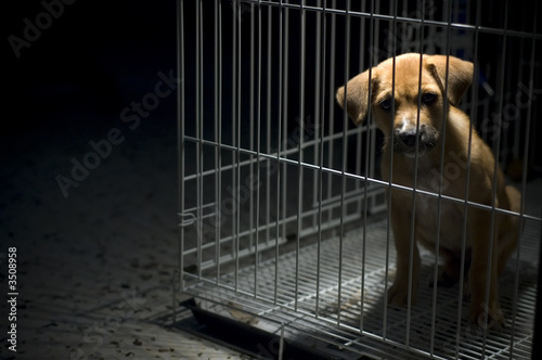 please free me!