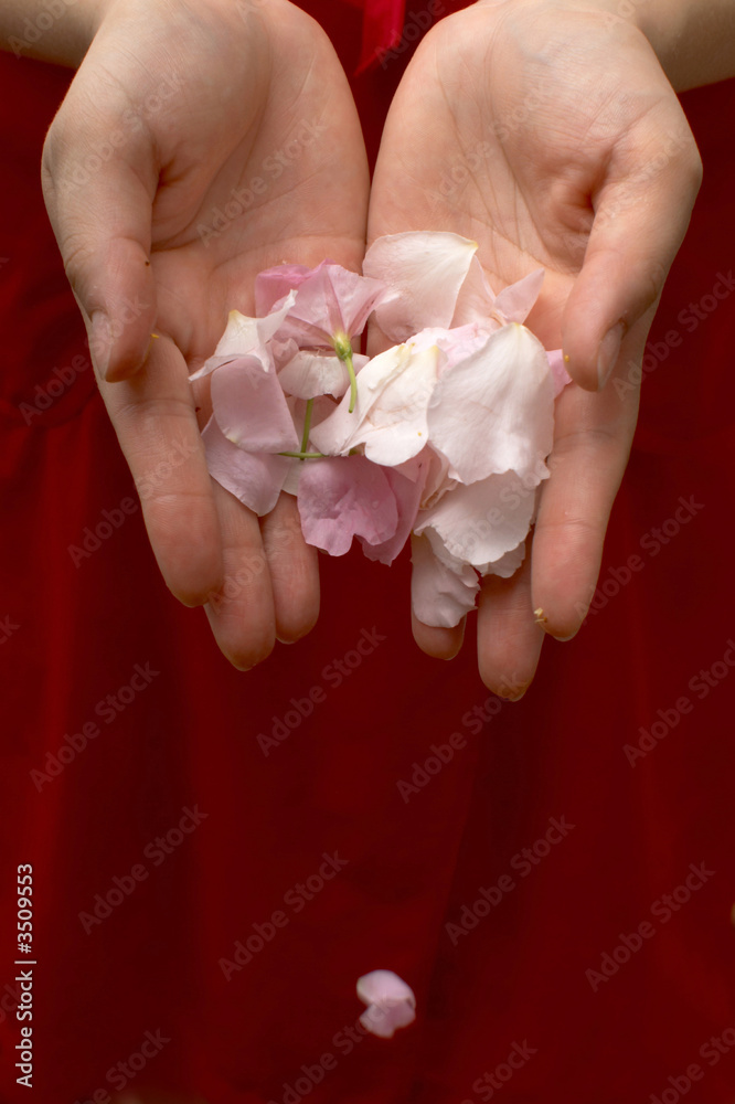 petal in the palm petal in the palm