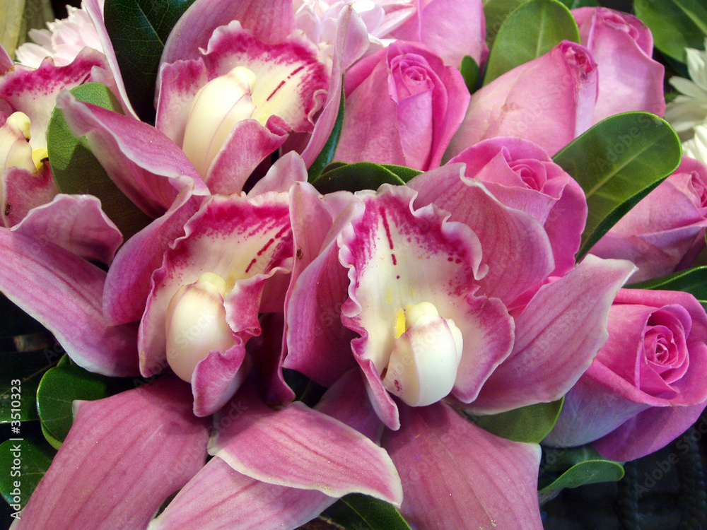Fototapeta premium exotic bouquet
