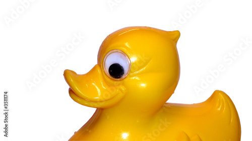 Fotografie yellow duckling