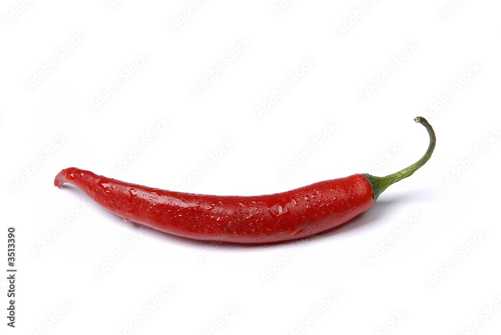 red hot chilli pepper red hot chilli pepper