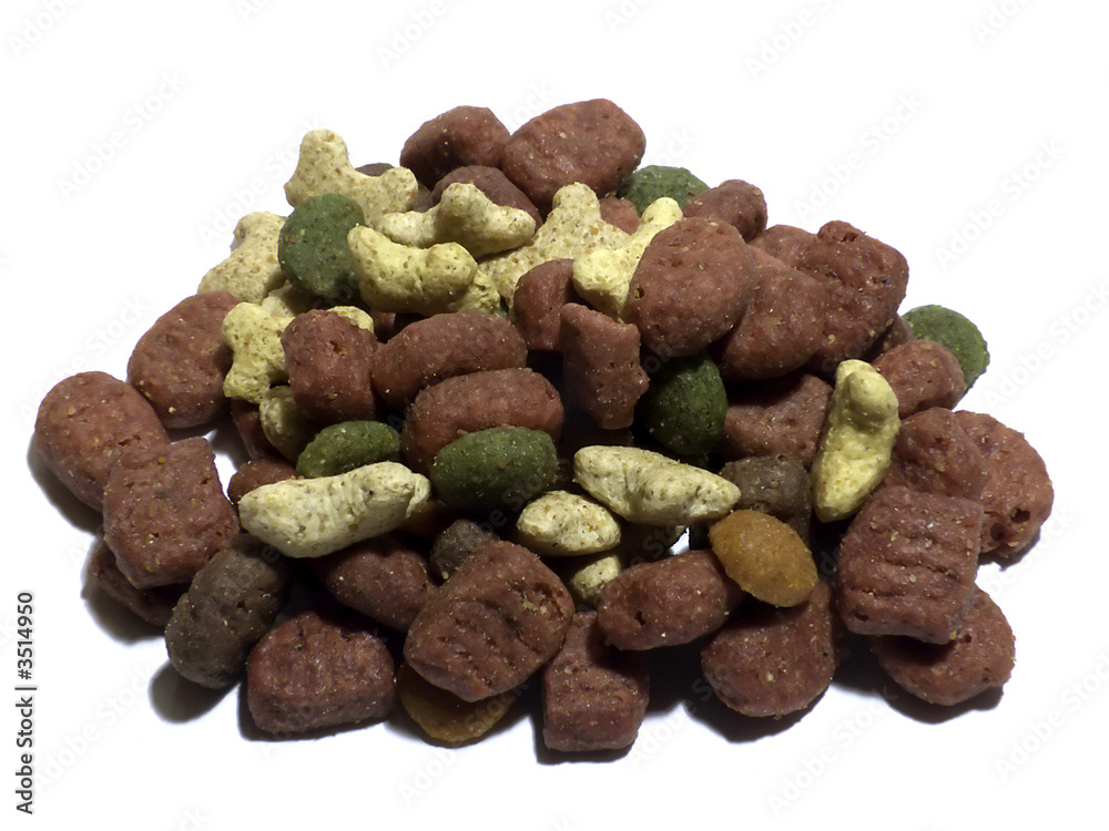food for cat food for cat