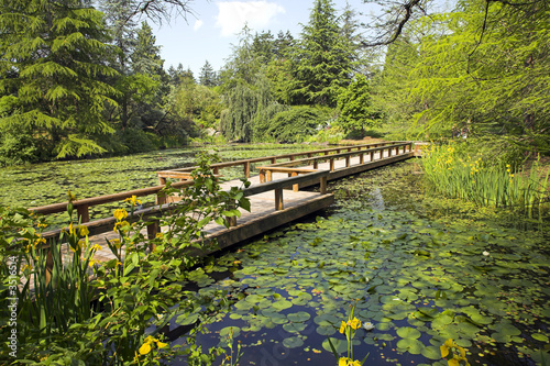 path in botanical garden