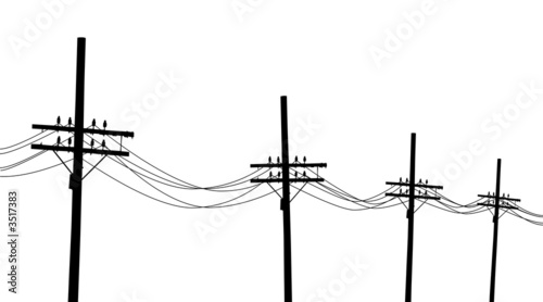 telegraph poles